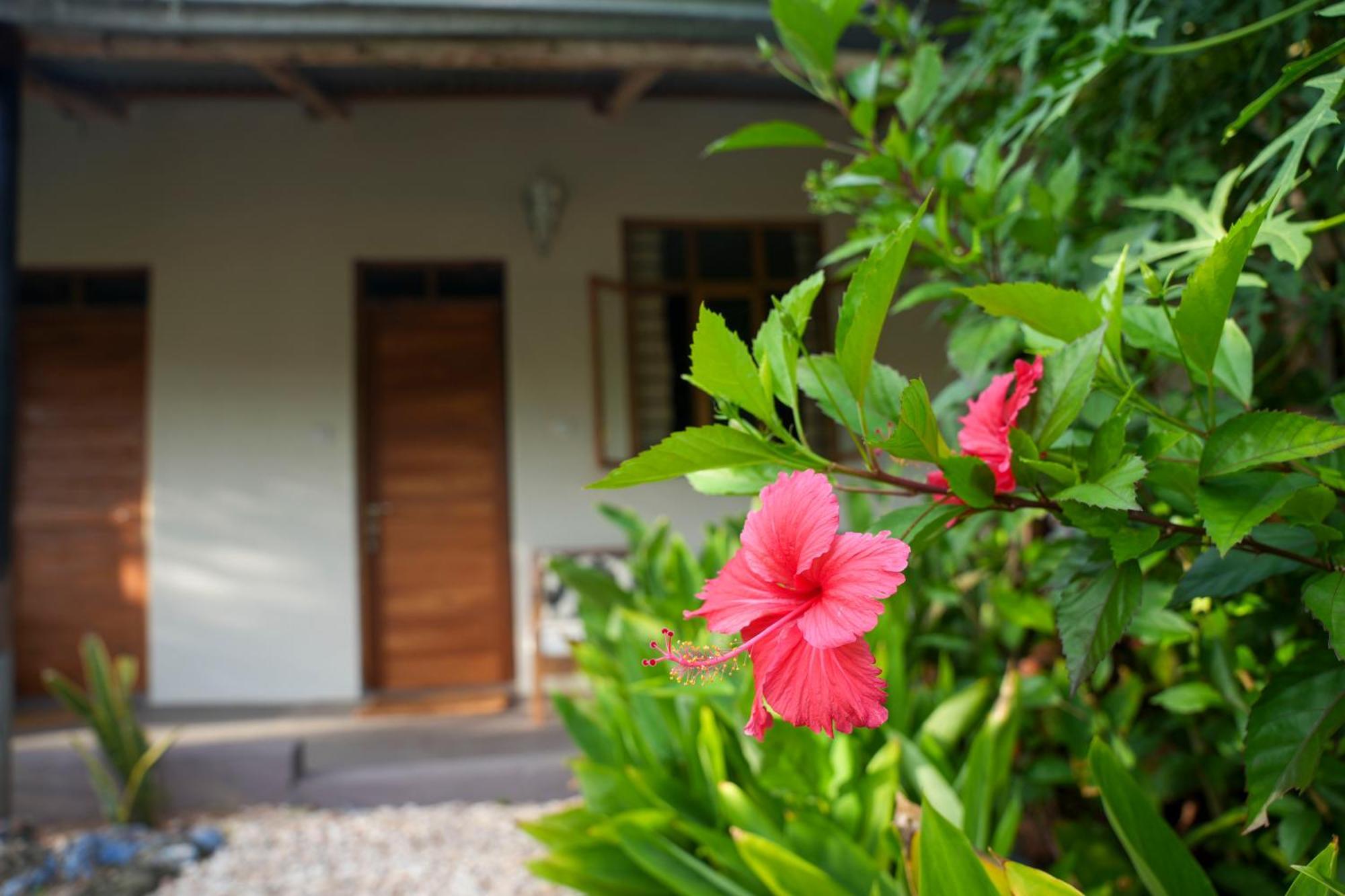 Kendwa Breeze Bungalows Exterior foto